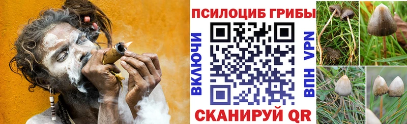 Галлюциногенные грибы мухоморы  хочу наркоту  Джанкой 